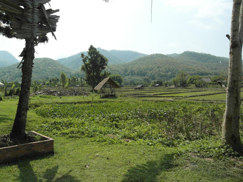 The rural landscape surrounding Pai