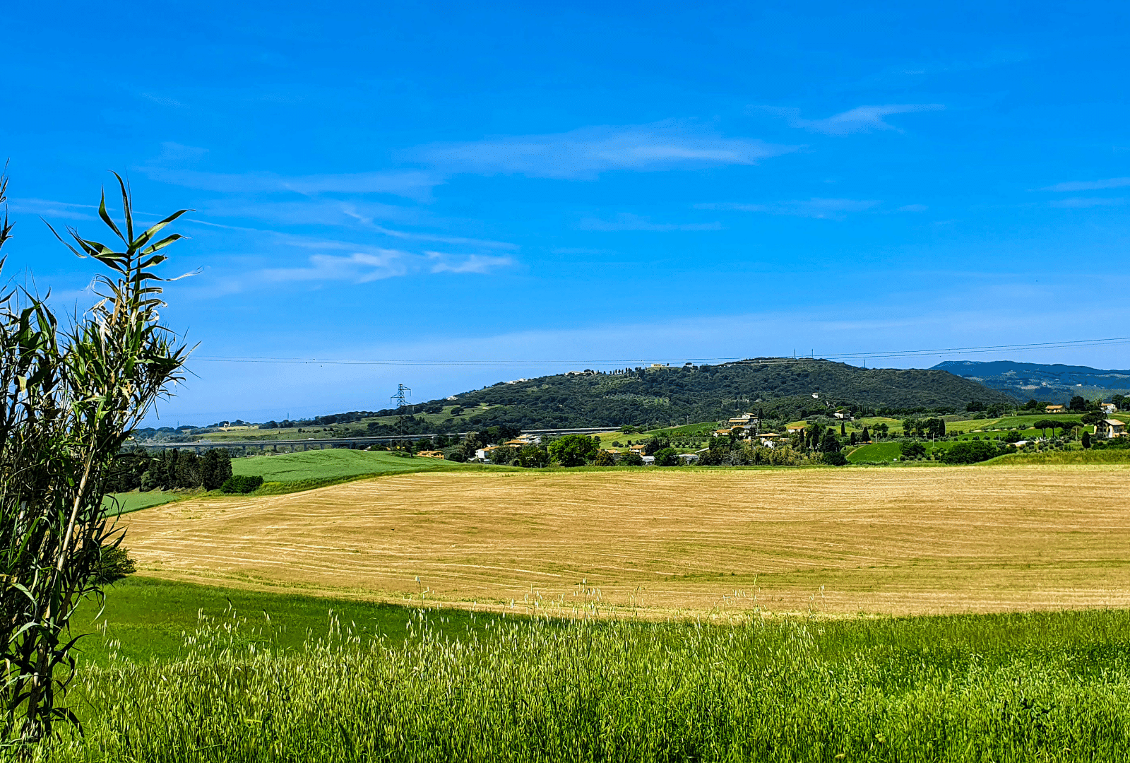 Crop fields in Santa Luce