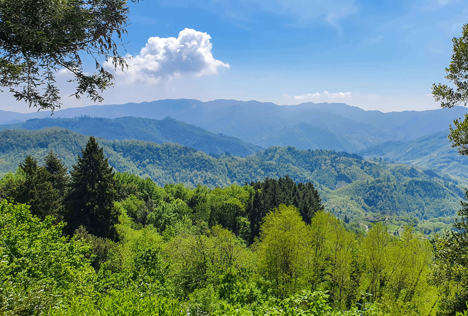 Overview of the Appennini range near Barberino