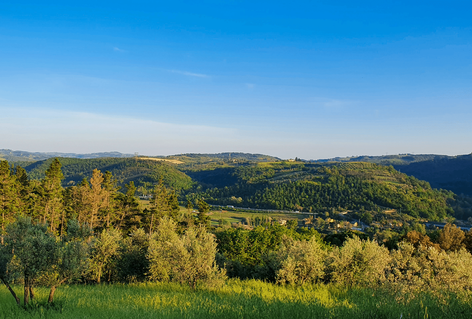 great view of the hills around Lajatico