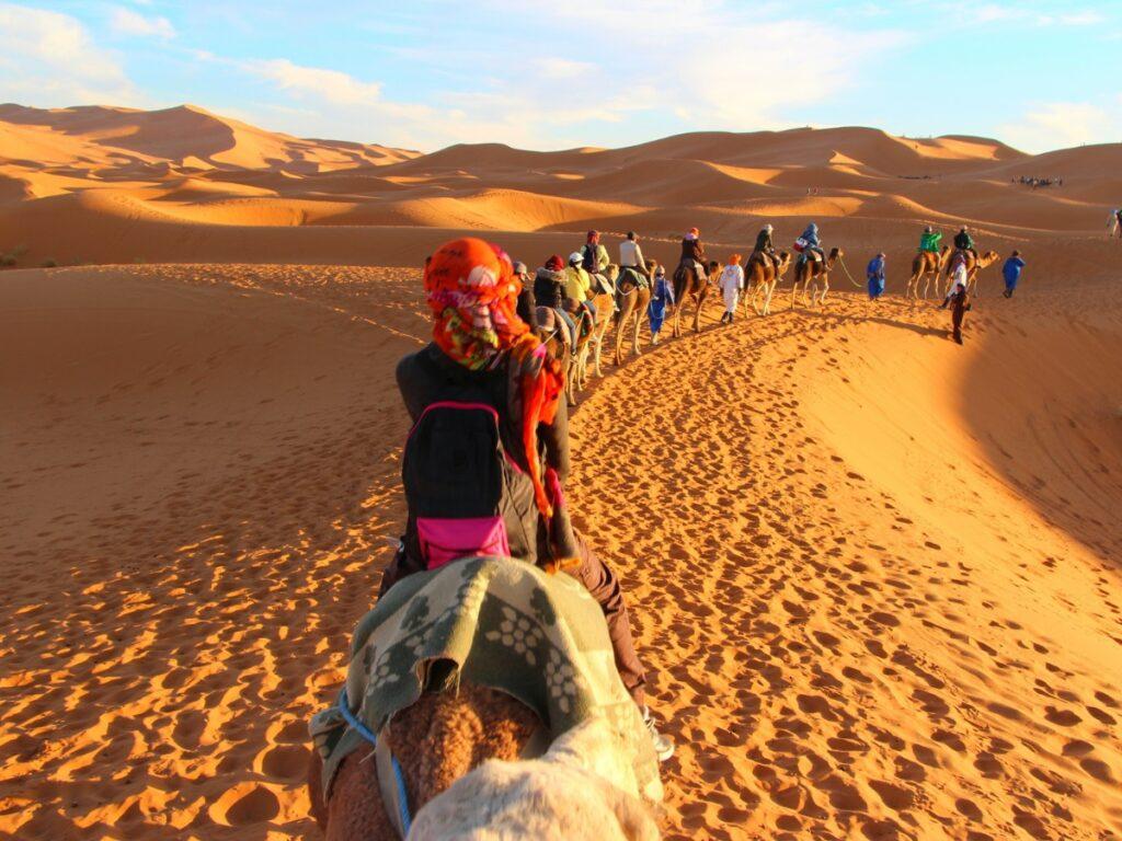 A caravan in the Thar Desert