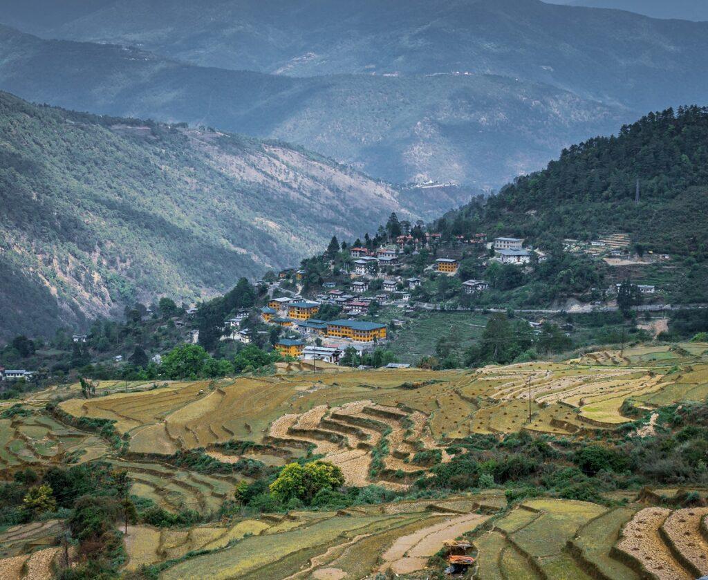 Terraced rice fields in a hidden valley